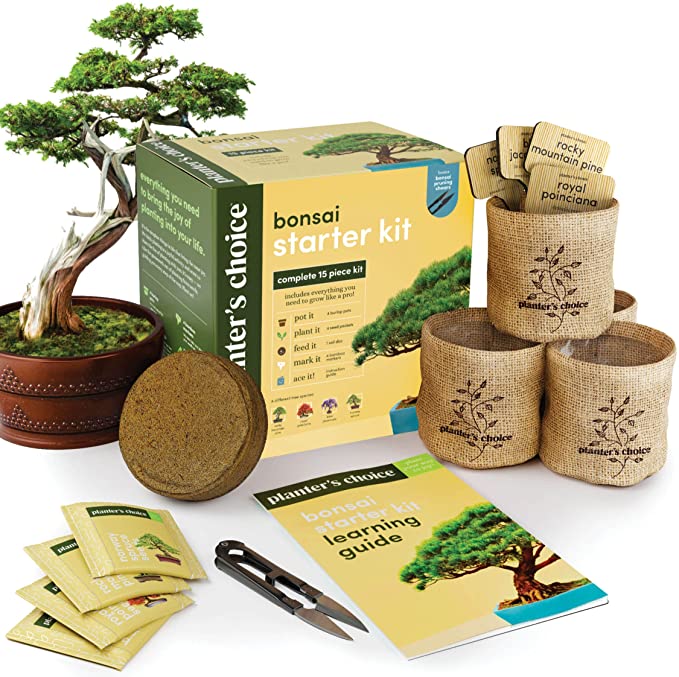 Planter's Choice Bonsai Starter Kit Deluxe